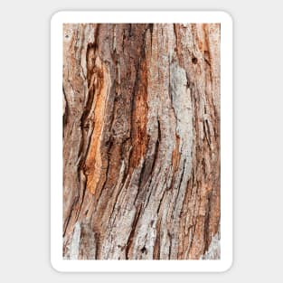 Tree Trunk Bark Surface Sticker